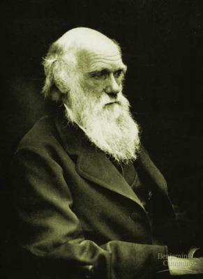 L'any Darwin