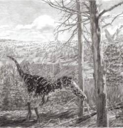 Un fósil hallado en el desierto del Gobi es de una nueva especie de dinosaurio