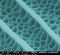 Ales de papallones nanomètriques