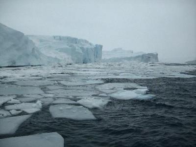 Un centenar d'icebergs van cap a Nova Zelanda