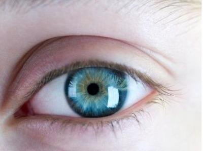 Un transplant amb cèl·lules mare permet curar la ceguera corneal a 8 pacients