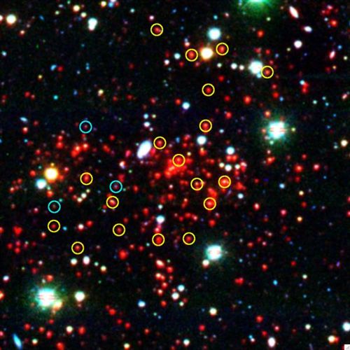 El major cúmul de galàxies es troba a 7000 anys llum.