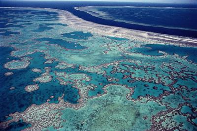 La gran barrera de coral australiana perd la mitat dels seus corals