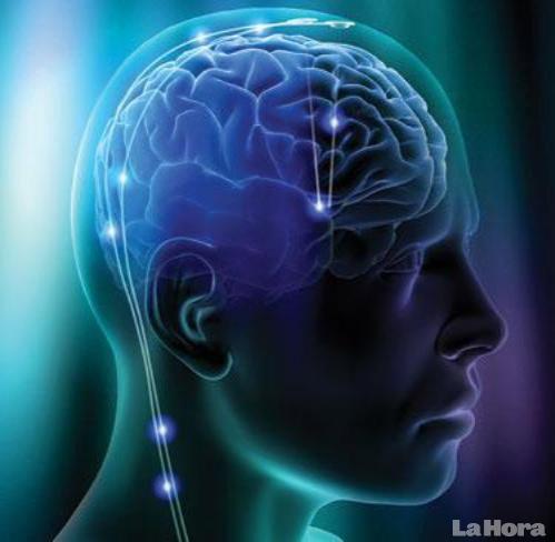 L'evolució cerebral s'amaga darrere de l'origen de la malaltia d'Alzheimer