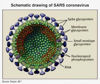 Francia estudia tres casos de posible contagio por el nuevo coronavirus