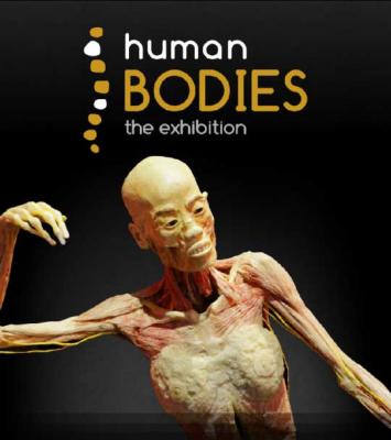 Human Bodies:todo lo que vas a ver es real