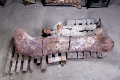 Descoberts a Argentina restes del major dinosaure trobat mai