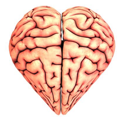 Com funciona el cervell d'una persona enamorada?