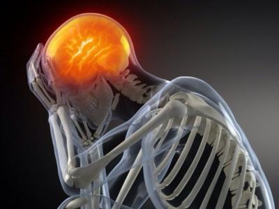 Descubren la región cerebral que regula la intensidad del dolor
