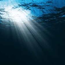 La llum artificial altera els ecosistemas marins.